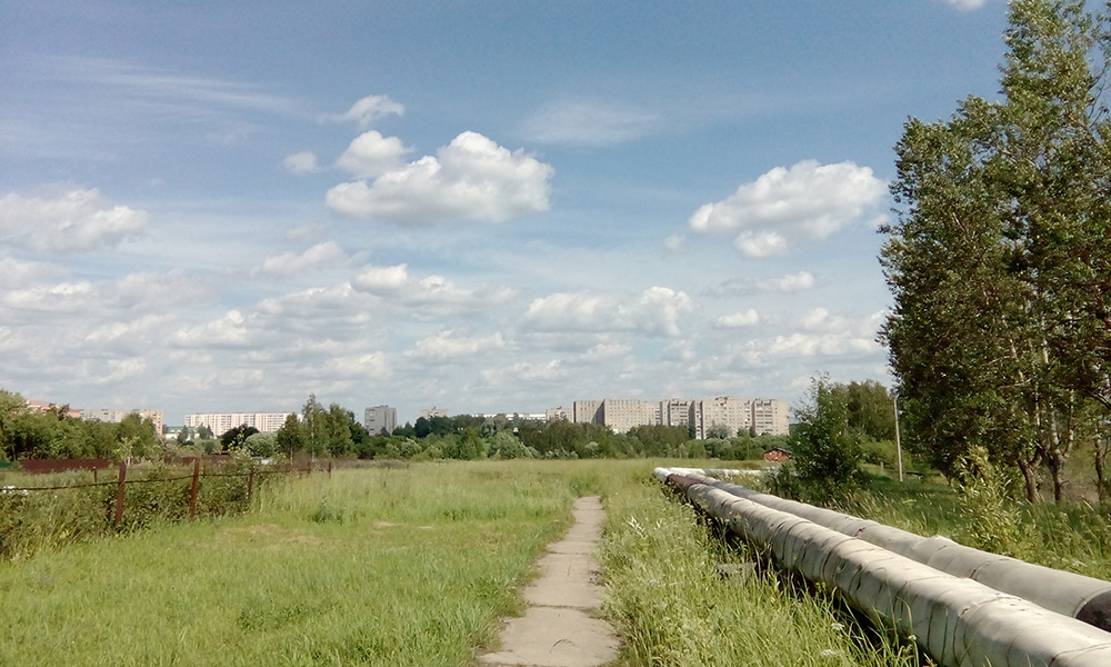  Подмосковье, лето 2016
