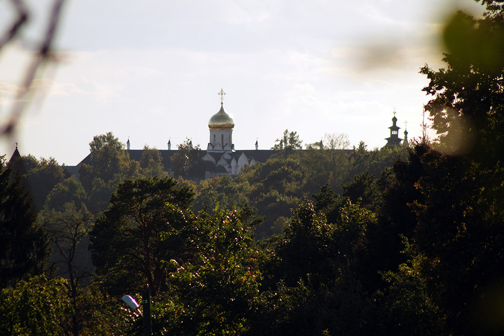  Подмосковье, лето 2015
